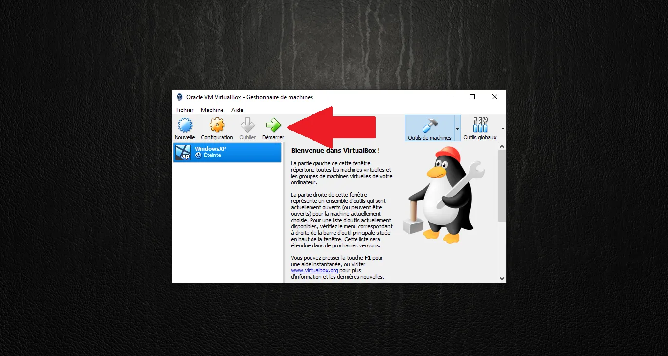 Starting the virtual machine