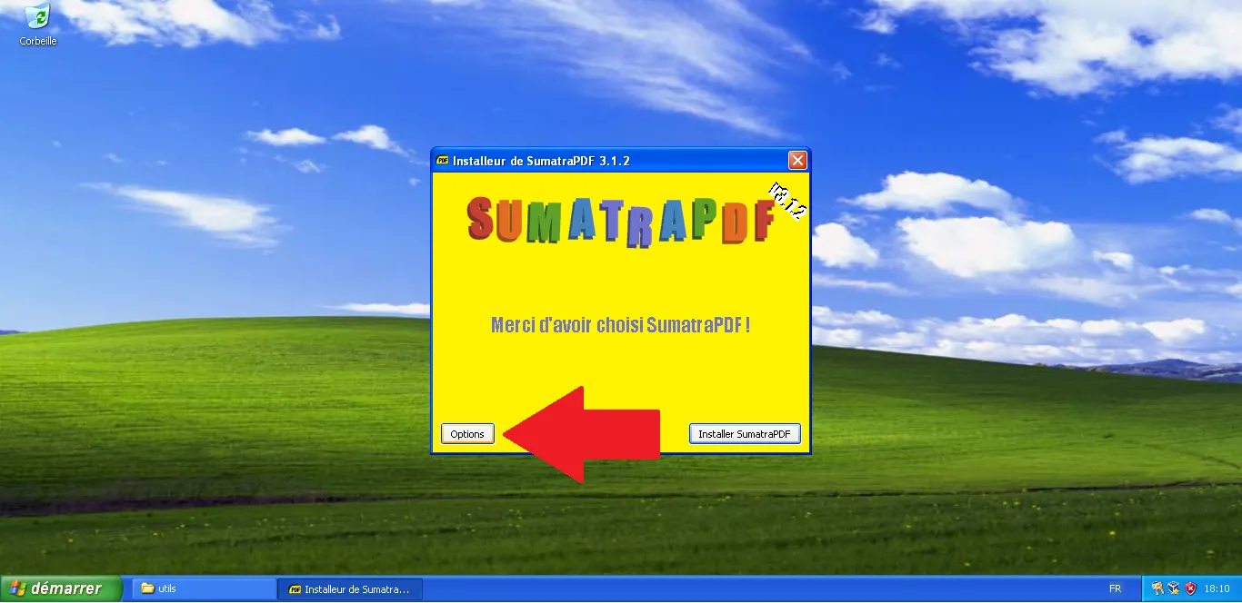Open SumatraPDF options